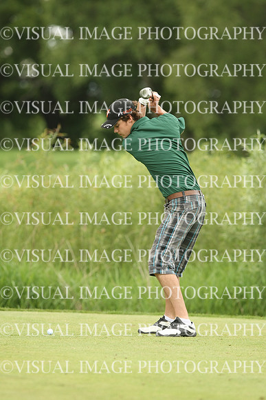 wigf_10_t32009