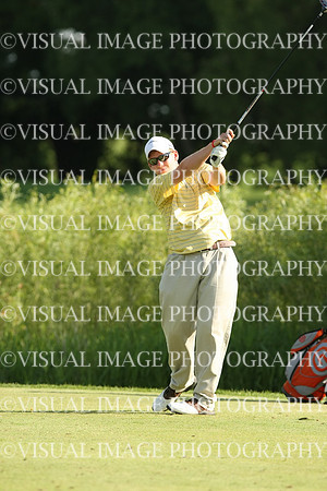 wigf_10_t22014