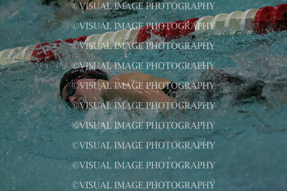 wiswg09_2free_2048