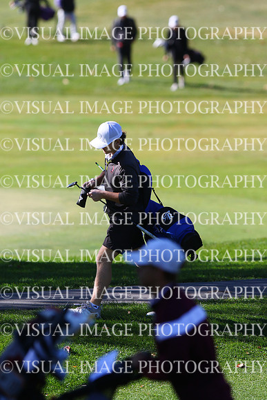 ILGF_24_T203013