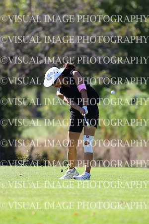 ILGFG_24_212013