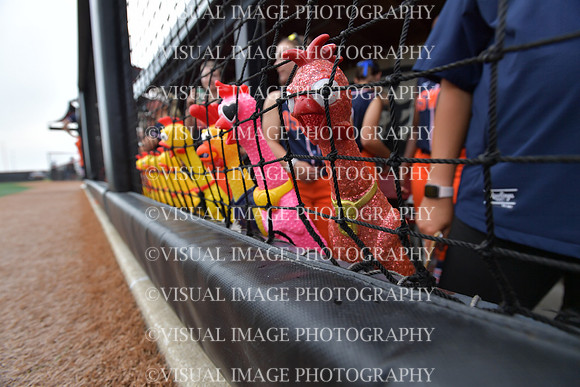 ILSBG_25_S420014