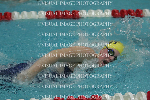 wiswg09_1free_1033
