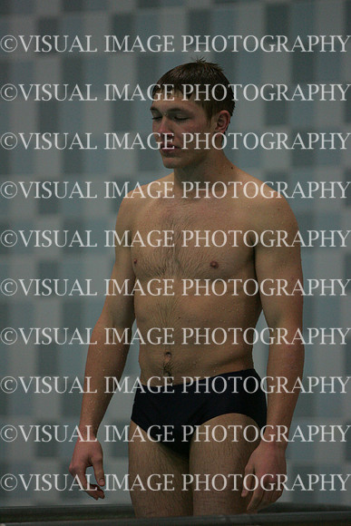 wisw10_dive_2006