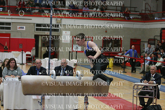 ILGYM14_PHORSE_I026