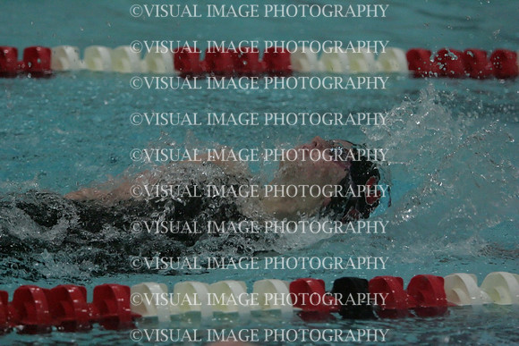 wiswg09_1back_2028