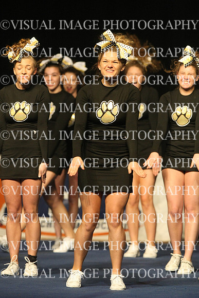 ILCHEER_11_M18015