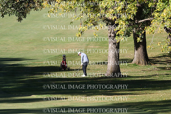 ILGF_24_T204011