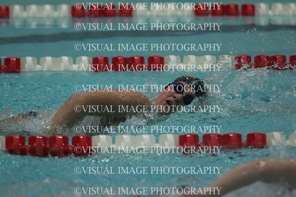 wiswg09_5free_1010