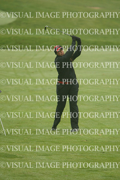 WIGFG_13_T106031