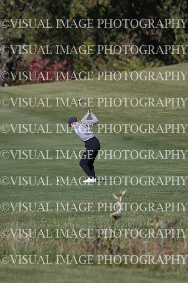 ILGFG_24_IND10032