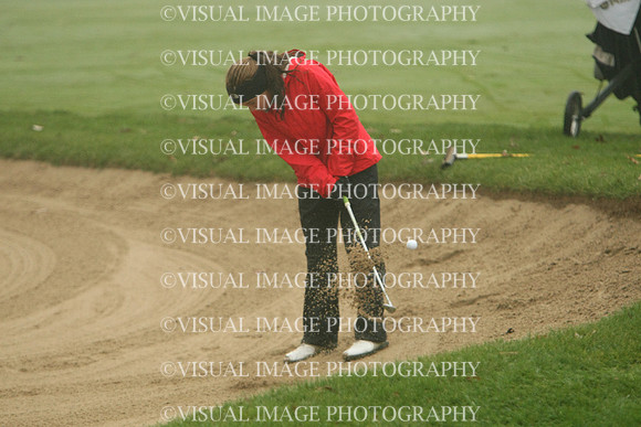 WIGFG_13_T206013