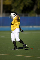 WSJFB_13_1006