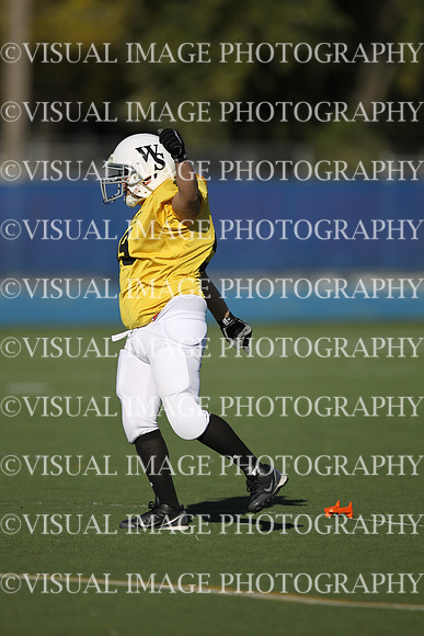 WSJFB_13_1006