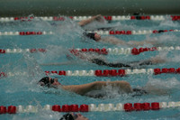 wiswg09_1back_2013