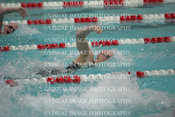 wisw09_2free_2043