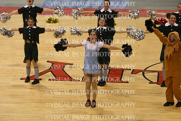 TDIHS12_POM_14009