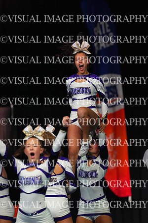 ILCHEER_25_M250008