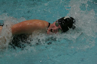 wiswg09_2frelay_2011