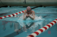 wisw10_1breast_2001
