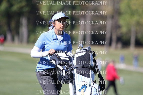 ILGFG_24_T106028