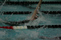 wiswg09_1back_2007