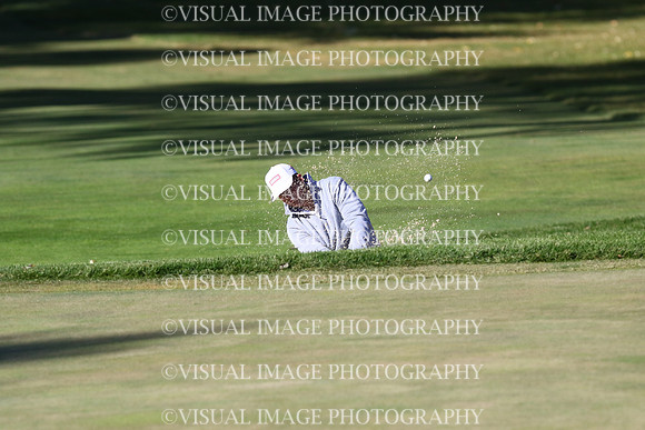 ILGF_24_T204027