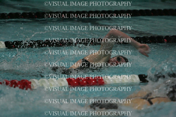 wiswg09_1free_1020