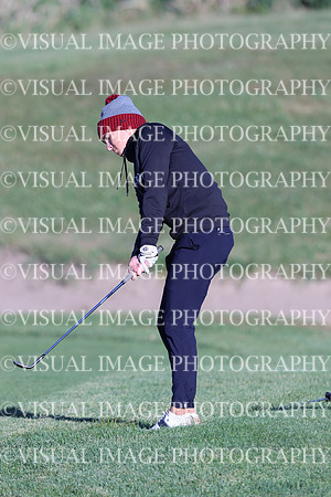 ILGF_24_T3020016