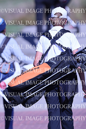 ILGF_24_T3110031