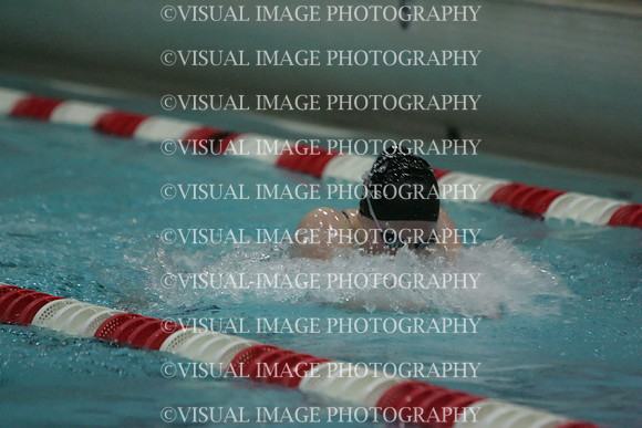 wiswg09_1breast_1014