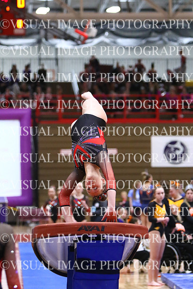 WIGYMG25_VAULT_T021
