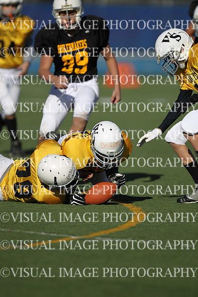 WSJFB_13_1030