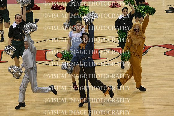 TDIHS12_POM_14039