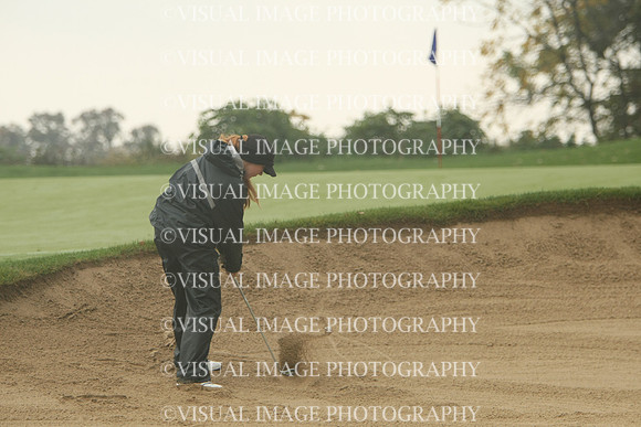 WIGFG_13_T112015