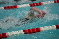 wisw09_2free_2011