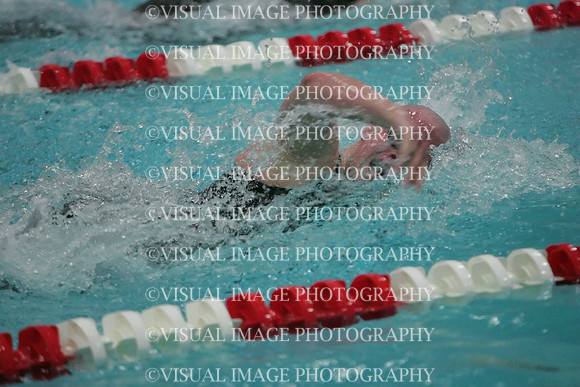 wisw09_2free_2011