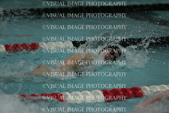 wiswg09_1free_1036