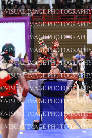 WIGYMG25_VAULT_T025