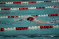wisw09_4frelay_2009