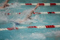 wisw10_2med_1011