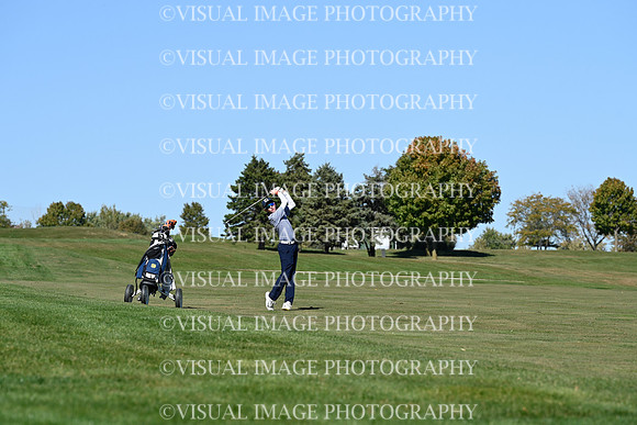 ILGF_24_T108005