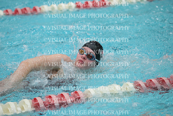 WISWG_16_S10033