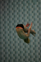 wisw09_dv_1019