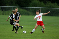 wiscg_10_s12006
