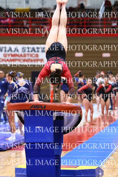 WIGYMG25_VAULT_T003