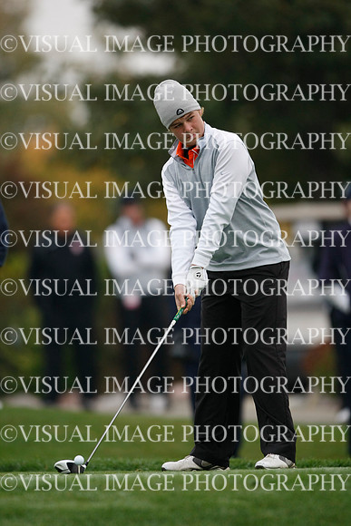 ILGF_13_T312004