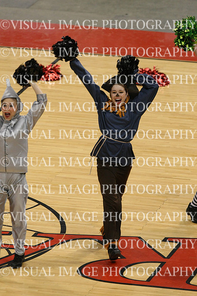 TDIHS12_POM_14011
