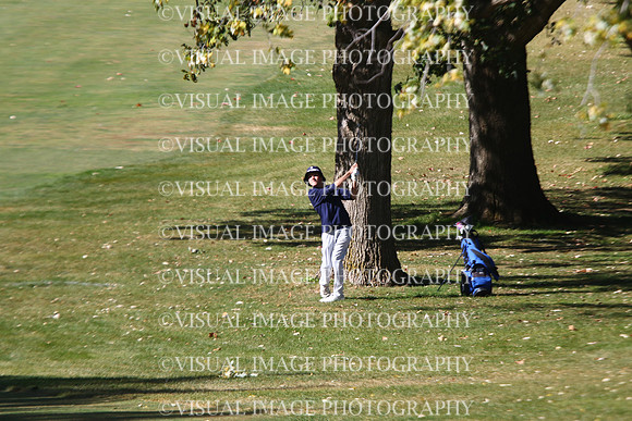 ILGF_24_T203021