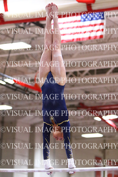 WIGYMG25_BARS_T025